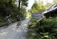 Studio Jan - B&B Zgornje Gorje