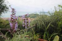 Ai Canarbin - colline di Lerici - B&B Lerici