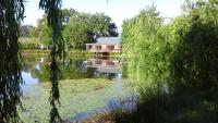 Elgin Country Cottage - B&B