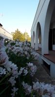 Il Lentisco - B&B