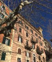 B&B Theodora - B&B Frascati