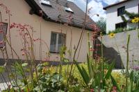 Apartma Center - B&B