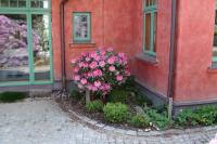Ferienhaus am Wasserturm für 6 Erwachsene und 9 Kinder - B&B Seeheilbad Graal-Müritz