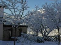 Apartamento - 2 niveles