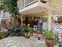 Tree in town ทรีอินทาวน์ - Bed and Breakfast Phattalung