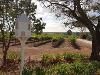 B&B Ladys Pass - 'In The Vines' Guest Cottage, Barossa Valley - Bed and Breakfast Ladys Pass