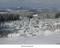 Apartment mit 1 Schlafzimmer