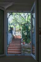 Gli ulivi sul Golfo e le 5 terre - B&B La Spezia