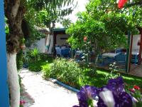 Amazon Antique - B&B