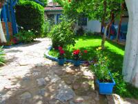 Amazon Antique - B&B Selcuk