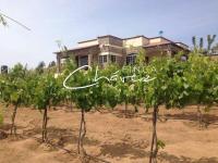 Finca Chavez - B&B Ensenada
