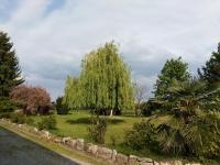 B&B Cascina dell'eco - B&B Busca