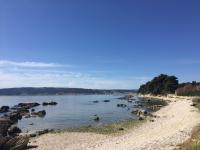 Green garden house - Bed and Breakfast Kutleše