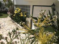 2 Bedroom Apartment House - Sol do Murtal - B&B Parede