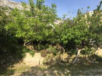 Studio-Apartment mit Meerblick