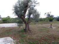 Villetta Li Giannelli - Ferienwohnung Marina di Mancaversa