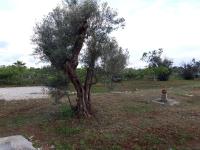 Villetta Li Giannelli - Ferienwohnung Marina di Mancaversa