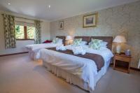 Family Room (3 Adults)