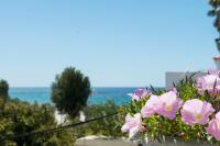 Andreas Studios - B&B