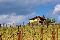 Wine Paradise - B&B