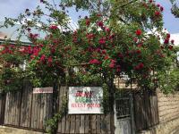 BMG (Be My Guest) - B&B Miskheta