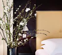 Suite Deluxe 1 Chambre