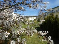 Studio Apartment North