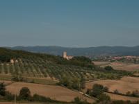 Apartamento de 2 dormitorios (3 adultos)
