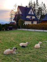 Two-Bedroom Duplex with Mountain View - Second Floor