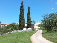 Apartment PARENZANA, little row HOUSE with big green yard in central Istria - Chambres d'hôtes Rakotule