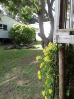 WOODPECKER - B&B