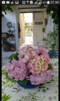 B&B San Martino Valle Caudina - Campanino68 - Bed and Breakfast San Martino Valle Caudina