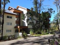 Pucón/stgo. downtown apartments - Ferienwohnung Pucón