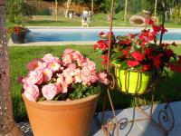 B&B Villepinte - Un bouquet de Tangissart - Bed and Breakfast Villepinte