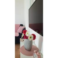 Studio apartman, 2+1 - B&B Brodarica