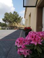 noclegi u Adama - B&B