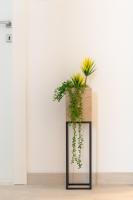 Magnolia 4* luxury apartment in town center - Chambres d’hôtes Trogir