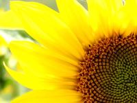 Hoefthus 11 - B&B Alt Reddevitz