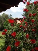 PortoAgali - B&B Porto Koufo