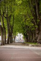 Dviejų kambarių butas Klaipėdos centre - B&B Klaipėda