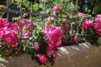 Superior Doppelzimmer