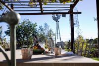 Olive Grove House - B&B Prince Albert