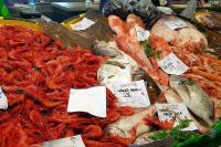 BELLA CASA - Helle Wohnung in Strandnähe - Ferienwohnung Palamós