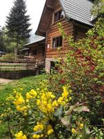 Leśniczówka Przysietnica - Bed and Breakfast Przysietnica