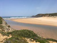 Casa Trinta - Praia da Arrifana - Ferienwohnung Praia da Arrifana