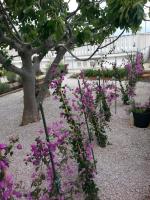 Guesthouse Lidija - B&B Kukljica