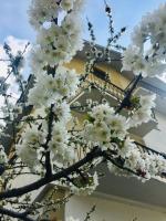 Dimora del cuore - Ferienwohnung Tirano