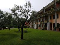 BMP APARTMENT ORCHIDEA piscina, giardino e spiaggia con molo - B&B