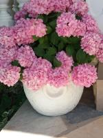 Apartman Haus Maja - Ferienwohnung Banjol