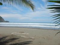 Macaws Ocean Club - B&B Jacó